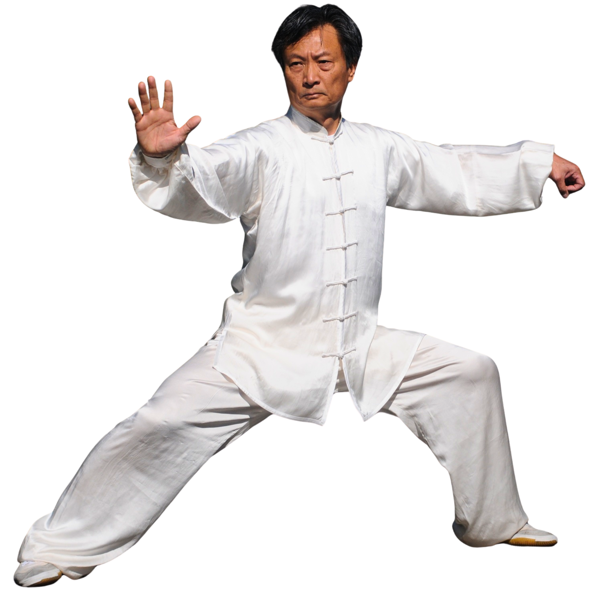 William tai chi pose
